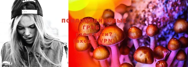 гашик Карталы