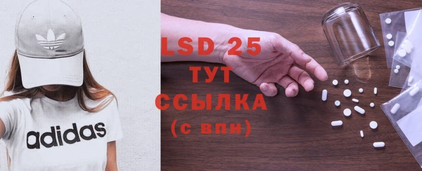 ПСИЛОЦИБИНОВЫЕ ГРИБЫ Карпинск