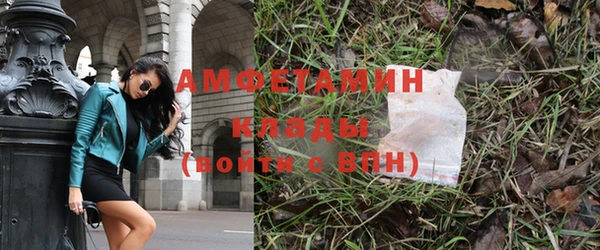 ПСИЛОЦИБИНОВЫЕ ГРИБЫ Карпинск